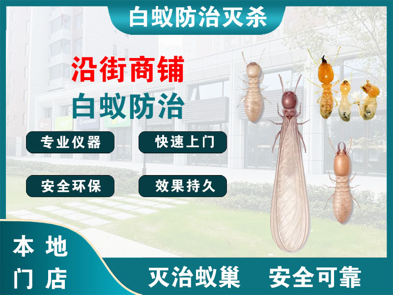 昆山沿街商铺白蚁防治