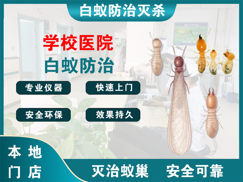 昆山学校医院白蚁防治