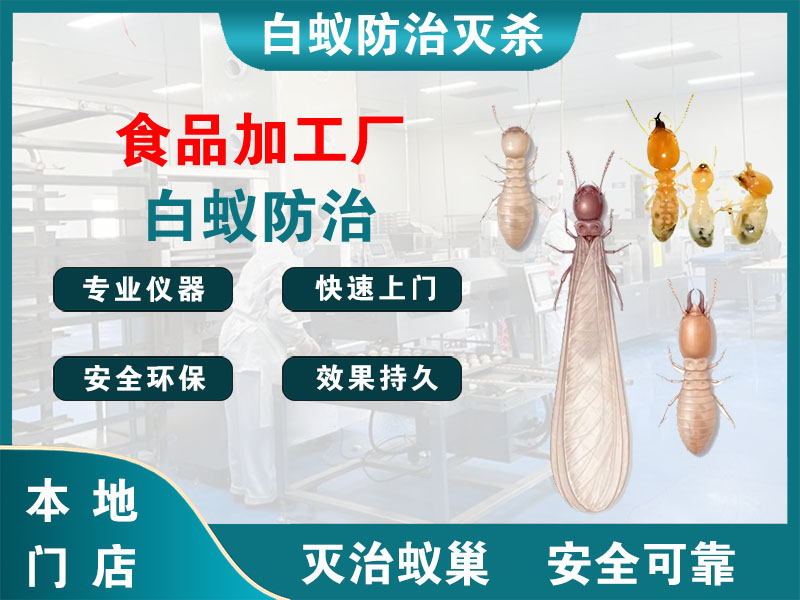 昆山食品加工厂白蚁防治