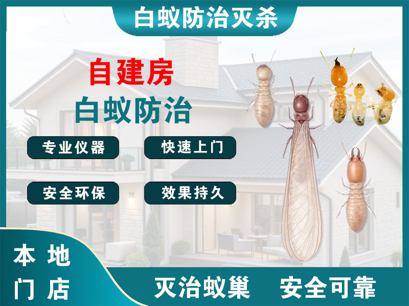昆山自建房白蚁防治