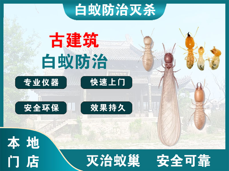 昆山古建筑白蚁防治