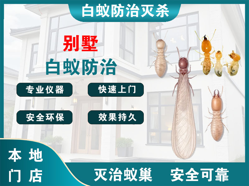 昆山别墅白蚁防治