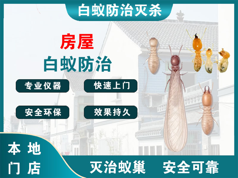昆山房屋白蚁防治